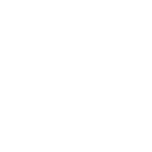 transportevaygo.com